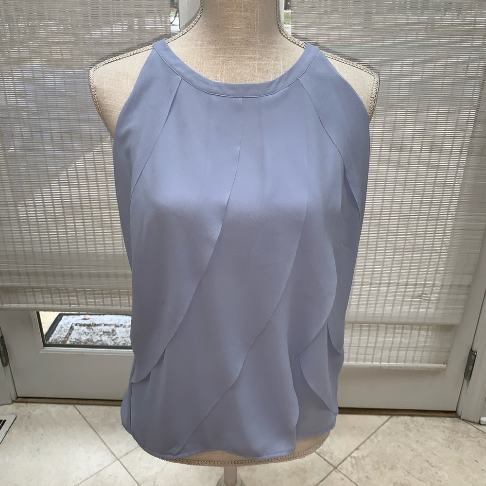 “Naked Zebra” purple blouse | Size Large